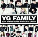 YG FAMILY WORLD TOUR 2014 POWER in Japan