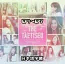 THE TAETISEO