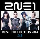 2NE1 Best Collection 2014 Blu-ray