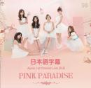 Apink 1st Concert Pink Paradise