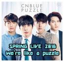 CNBLUE SPRING LIVE 2016 We’re like a puzzle