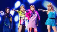 2NE1 Live in Seoul