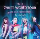 2014 2NE1 WORLD TOUR ~ALL OR NOTHING~ in Japan