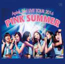 Apink 2nd LIVE TOUR 2016 PINK SUMMER