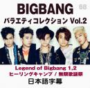 BIGBANGバラエティーコレクションvol.2